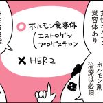 病理検査の結果を受けて【乳がんの話41】